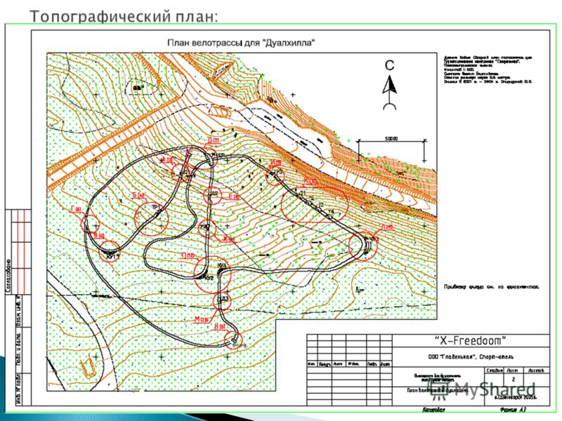 Топографический план. Топографический план план. Актуальный топографический план. Топографический план парка.