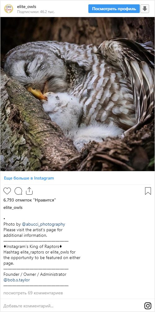 Особенность имен в Instagram